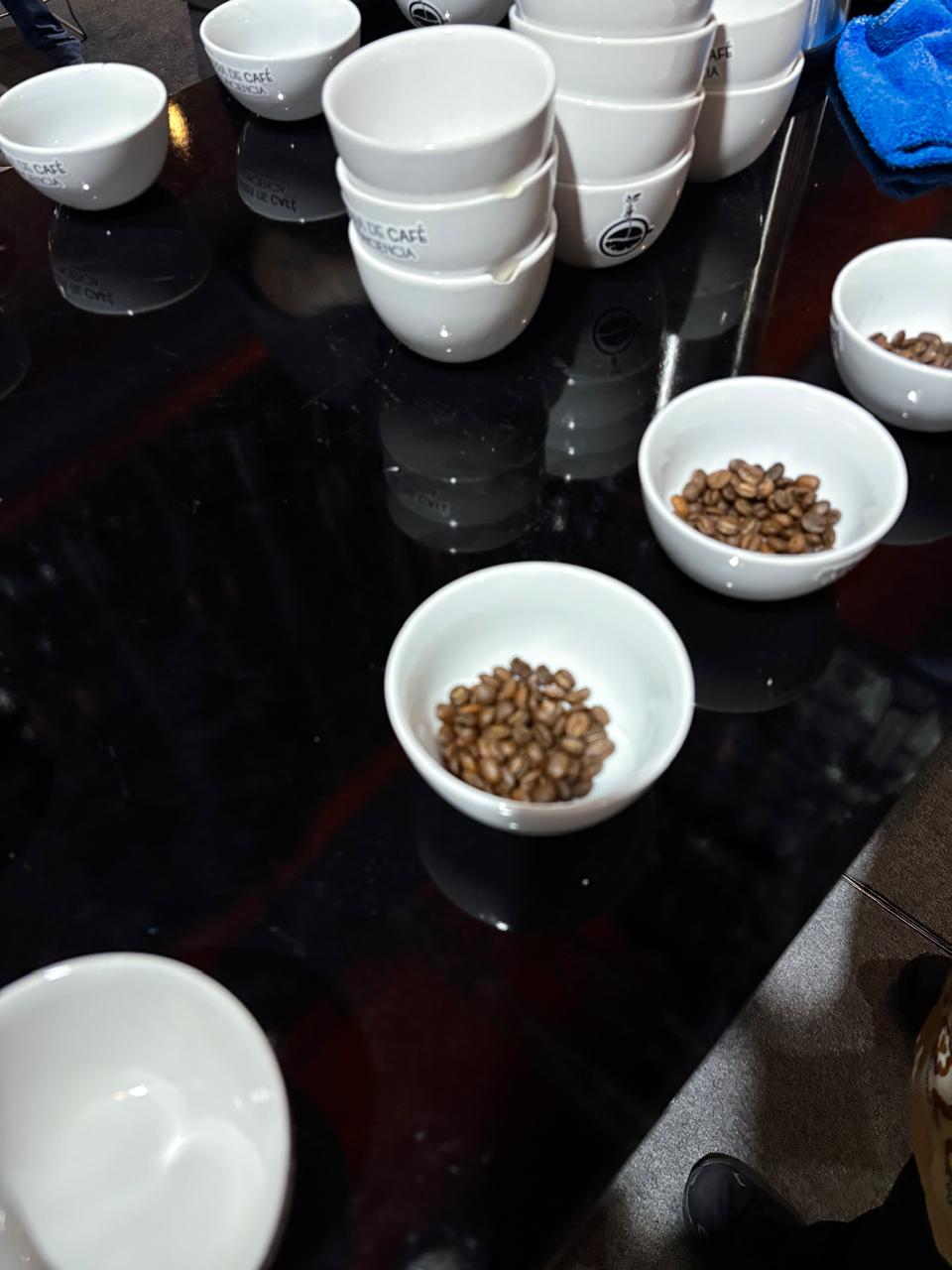 Granos de café preparados para una cata
